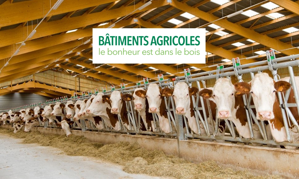 Bâtiments agricoles, le bonheur est dans le bois !