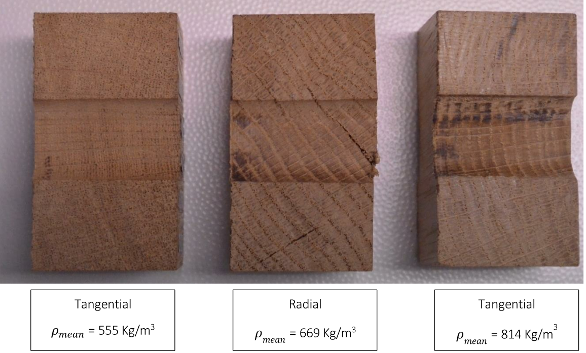 Bois feuillus : amélioration de la connaissance du dimensionnement des assemblages